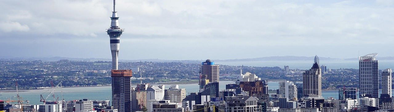 Skyline Auckland mit Blick auf Skytower